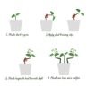 LucyPhy 30 Pack Plant Bender Angle Adjustable Plant Training Clips Low Stress Training Clips 90 Degrees Plant Stem(Circle Style,Red)