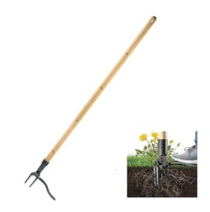 MLHpeak Stand Up Weed Puller Tool with Long Handle, 3-Section Bamboo Construction & 4-Claw Steel Head Design, Easily Remove Weeds Without Kneeling