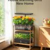 iDOO Hydroponics Growing System Kit 12 Pods, Gardening Gifts for Women Mom Dad Kids, Indoor Herb Garden with LED Grow Light for Home School, Indoor Plants Good for Mental Health