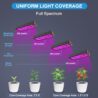Phlizon Upgraded 600W LED Grow Light with SMD LEDs 2x2ft Full Spectrum Plants Light Double Switch Grow Led for Indoor Veg and Flower