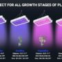 2024 Upgraded BW1000 LED Grow Lights Double Chips Full Spectrum for Greenhouse and Indoor Plant Veg and Flower Growing [White]