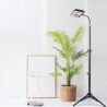 LBW Grow Light with Stand, Full Spectrum LED Floor Plant Light for Indoor Plants, Grow Lamp with On/Off Switch, Adjustable Tripod Stand 15-48 inches