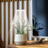 GYTF Halo Plant Grow Light, 6000K White LED Full Spectrum Growing Lamp for Indoor Plants, Succulents, Mini Bonsai, Small Plants, Height Adjustable, Dimmable & Timer 4/8/12/18Hrs