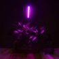 Otryad LED Grow Lights for Indoor Plants 20 LED, Plant Growing Lights Full Spectrum Auto ON Off with 3/9/12H Timer, 9 Dimmable Lightness Clip-On Desk Grow Lamp Bulb