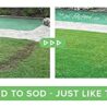 Hydro Mousse Liquid Lawn Kit with Spray n' Stay Technology (High Performance Grass Blend)
