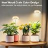 Aokrean Plant Grow Light, 48 LEDs Full Spectrum Grow Lights for Indoor Plants, Height Adjustable Faux Wood Grain Small Grow Light with Base, 3 Optional Spectrums, Auto Timer 6/12/16Hrs, 5 Brightness