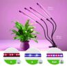 GROWSTAR Plant Lights for Indoor Growing, Red Blue Spectrum 4 Heads Clip Grow Lamps with 10 Feet Cables for Seeding Blooming and Fruiting(2 Pack)