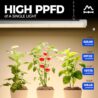 Barrina TX72 Grow Light for Indoor Plants, 4FT, 288W(4 x 72W, 2000W Equivalent), Full Spectrum with 660nm Red LEDs, High PPFD, Mechanical Timer, Linkable, Hanging Plant Lights for Greenhouse, 4 Pack