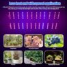 Grow Light for Indoor Plants, USB LED Grow Lamp, Waterproof Grow Light with 3/6/12H Timer Switch for Indoor Plants Seeding Veg Flower Growing Lamp