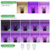 RWNTAO Two Strip Growing Lamp for Indoor Plants, Red & Blue & Yellow Full Spectrum LED Grow Light Strips with Auto ON/Off 3/9/12H Timer,10 Dimmable Levels for Green House Succulent (2 Head 13 in)
