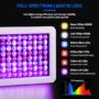 2024 Upgraded BW1000 LED Grow Lights Double Chips Full Spectrum for Greenhouse and Indoor Plant Veg and Flower Growing [White]
