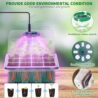 Qoolife Seed Starter Tray with Plant Light, 2 Pack Grow Lights for Seed Starting Kit with Humidity Domes, Timing Controller Adjustable Brightness for Greenhouse Propagator Station Planting Growing