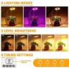 Juhefa Grow Light for Indoor Plants Growing, 4000K White Full Spectrum Halo Plant Lamp for Seedlings Succulents Small Mini Plants, Auto On Off Timer 4/8/12/18Hrs & 3 Colors Changeable