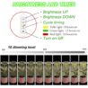 Plant Grow Light,yadoker LED Growing Light Full Spectrum for Indoor Plants,Height Adjustable, Automatic Timer, 5V Low Safe Voltage,Idea for Large Plant Light, 2 Pack