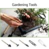 Sproutix Bonsai Garden Starter Kit, 4 Seeds Growing into Sakura, Ginkgo, Black Pine, Red Flame, Including Complete Gardening Tools & A Wooden Box with Cover, Christmas Gifts for Men Women Beginners