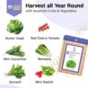 Salad Seed Pods, Grow Anything Kit for All Hydroponics Growing Systems, 8 Pods with 600+ Seeds of Red Cherry Tomato, Butter Head, Romaine, Spinach, Mini Cucumber and Radish