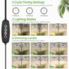 LORDEM Grow Light for Indoor Plants, 7.9" Diameter Tri-Head Plant Light for Plants Growing, Full Spectrum Growth Lamp with Auto Timer 3/6/12H, 4 Dimmable Levels, 3 Lighting Modes, Adjustable Stand