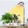 LBW Grow Light for Indoor Plants, Full Spectrum Desk LED Plant Light, Small Grow Lamp with On/Off Switch, Height Adjustable, Flexible Gooseneck, Ideal for Indoor Growth