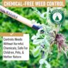 Grampa's Weeder - The Original Stand Up Weed Puller Tool with Long Handle - Made with Real Bamboo & 4-Claw Steel Head Design - Easily Remove Weeds Without Bending, Pulling, or Kneeling.