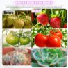 LED Grow Lights, 4 Heads Red Blue White Full Spectrum Plants Lights with Clamp for Indoor Plants & Seed Starting, 10-Level Dimmable, Auto On Off, Timing 4 9 12Hrs