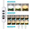 Halo Ring Grow Lights for Small Indoor Plants, Warm+White 48LEDs Full Spectrum Plant Light, Height Adjustable with 5V 2A Adapter, 3/9/12H Timer, 3 Spectral Modes, 10 Dimmable Levels, Angel Ring 1 Pack