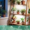 LBW Grow Light, Full Spectrum 270 LED Growing Lamp with Auto On/Off Timer 4/8/12H, 3 Lighting Modes, 10 Dimmable Levels, Suitable for Indoor Plants, 2 Pack