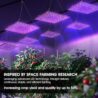 Uallhome 2 Pack LED Grow Light Panel 200W Lamp for Indoor Plants, Full Spectrum with White Blue Red UV IR LEDs for 4x4ft Coverage Grow Tent Greenhouse Veg and Bloom Seedlings Hydroponics