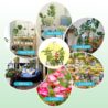 Halo Ring Grow Lights for Small Indoor Plants, Warm+White 48LEDs Full Spectrum Plant Light, Height Adjustable with 5V 2A Adapter, 3/9/12H Timer, 3 Spectral Modes, 10 Dimmable Levels, Angel Ring 1 Pack