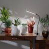 GooingTop Grow Light LED Growing Lamp,6500K 50W Full Spectrum 72 LED Gooseneck Plant Lamp Clip-on Desk for Indoor Plants Seed Starting,Lighting Brightness Adjustable,Timer 4 8 12 18Hrs