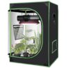 JungleA 2x2 Small Grow Tent, High Reflective Mylar Hydroponic Growing System, 24" x 24" x 36" Indoor Growing Tent Greenhouse Box Kit w/Window & Tray, Home Plant Farmer Flower, Mushroom, Veg Grow Box