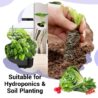 Salad Seed Pods, Grow Anything Kit for All Hydroponics Growing Systems, 8 Pods with 600+ Seeds of Red Cherry Tomato, Butter Head, Romaine, Spinach, Mini Cucumber and Radish