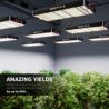 BESTVA 2025 Upgrade DC1000 Led Grow Light with High Yield Diodes Full Spectrum LED Grow Lights for Indoor Plants Greenhouse Veg Bloom Light Hydroponic Grow Lamp
