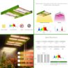 BloomGrow Alphapar 100W New Tech Professional Full Spectrum Sunlike LED Grow Light Fixture + 32''x32''x63'' Grow Tent + 4'' Fan Filter Combo Ventilation Kit Growing Complete Kit Indoor Plant Growing