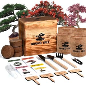 Sproutix Bonsai Garden Starter Kit, 4 Seeds Growing into Sakura, Ginkgo, Black Pine, Red Flame, Including Complete Gardening Tools & A Wooden Box with Cover, Christmas Gifts for Men Women Beginners