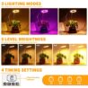 GooingTop LED Grow Light, Halo Plant Lamp for Indoor Plants Growing, White Low Light for Succulents Mini Small Plants Growth,Upgrade Timer 4/8/12/18 Hrs & Variable Spectrum,1 Pack