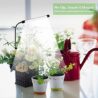 Juhefa Grow Light for Indoor Plants Growing, 6000K Full Spectrum Gooseneck Plant Lamp for Seedings Succulents Small Plants, Auto On/Off Timing & 5 Dimming, 1-Pack