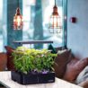 iDOO Hydroponics Growing System Kit 12Pods, Indoor Herb Garden System, with LED Grow Light, Built-in Fan, Auto-Timer, Adjustable Height Up to 11.3", for Home School, for Women Mom