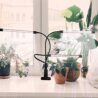 GHodec Grow Light for Indoor Plants,6000K 126LED Clip Plant Lights with Flexible Gooseneck & Timer Setting 4/8/12H,5 Dimmable Levels