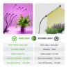 GROWSTAR Plant Lights for Indoor Growing, Red Blue Spectrum 4 Heads Clip Grow Lamps with 10 Feet Cables for Seeding Blooming and Fruiting(2 Pack)