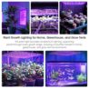 Uallhome 2 Pack LED Grow Light Panel 200W Lamp for Indoor Plants, Full Spectrum with White Blue Red UV IR LEDs for 4x4ft Coverage Grow Tent Greenhouse Veg and Bloom Seedlings Hydroponics