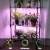 Grow Light 20W Ultra-Thin Panel 150LEDs Full Spectrum Grow Lights for Indoor Plants Under Cabinet Plant, 11.81 inch Grow Lamp with 3/9/12H Timer, 10 Dimmable Levels for Plant Lights Growing 2-Packs