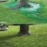 Hydro Mousse Liquid Lawn Kit with Spray n' Stay Technology (High Performance Grass Blend)