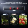 BESTVA 2025 Upgrade DC1000 Led Grow Light with High Yield Diodes Full Spectrum LED Grow Lights for Indoor Plants Greenhouse Veg Bloom Light Hydroponic Grow Lamp