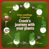 Cronk Nutrients Bonnie & Clyde Autoflower Nutrients Bloom and Grow – Yield Increasing Autoflower Plants Nutrient Kit – Easy to Use Plant Food – Optimal Formula for Optimal Results, 500mL
