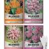 Butterfly Milkweed Seeds Starter Kit – Grow 4 Beautiful Milkweed Varieties – Non-GMO Heirloom Seeds, Complete Indoor & Outdoor Butterfly Grow Kit, Perfect for Monarch Butterflies & Pollinators