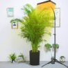 FECiDA Sunlight Plant Grow Light with Tripod Stand, 25 Watt Grow Lights for Indoor Plants, Seed Starting, Daisy Chain Function, Plug and Play, 24"-64" Height Adjustable