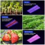 2024 Upgraded BW1000 LED Grow Lights Double Chips Full Spectrum for Greenhouse and Indoor Plant Veg and Flower Growing [White]
