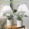 WeeLeeGoo Grow Light 2 Pack, 6000K Full Spectrum Gooseneck Growing Lamp for Indoor Pot Plants Bonsai/Plant/Houseplants, Dimmable & Auto Timer 4 8 12H
