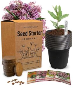 Butterfly Milkweed Seeds Starter Kit – Grow 4 Beautiful Milkweed Varieties – Non-GMO Heirloom Seeds, Complete Indoor & Outdoor Butterfly Grow Kit, Perfect for Monarch Butterflies & Pollinators