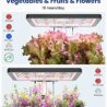 iDOO Hydroponics Growing System Kit 12Pods, Indoor Herb Garden System, with LED Grow Light, Built-in Fan, Auto-Timer, Adjustable Height Up to 11.3", for Home School, for Women Mom